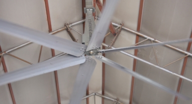 Sıcak Havalarda Havyanlar Dev Vantilatör İle Serinliyor