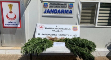 Çeşitli Suçlardan Yakalanan 14 Şüpheli Tutuklandı