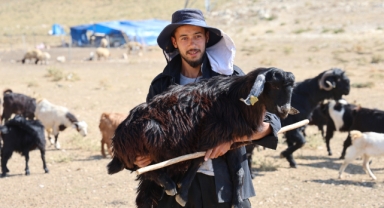Kahramanmaraş'ta Konargöçerler Ahır Dağı Zirvesindeki Yerlerini Aldı