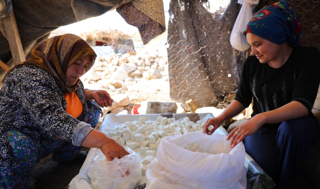 Kahramanmaraş'ta Yaylacıların Peynir ve Çökelek Üretimi Sürüyor