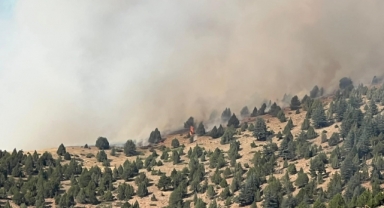 Kahramanmaraş'taki Orman Yangını Ekiplerin Müdahalesi Sürüyor