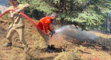 Kahramanmaraş'taki Orman Yangını Kontrol Altına Alındı