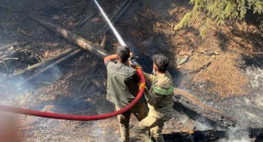 Kahramanmaraş'taki Orman Yangınına Müdahale Sürüyor