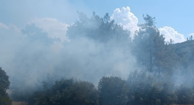 Andırın'da Orman Yangını Büyümeden Söndürüldü
