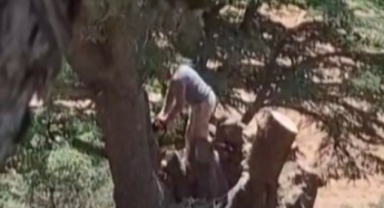 Kahramanmaraş'ta Ormanlık Alanda Ağaç Kesen 2 Kişi Yakalandı