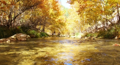 Cödden Vadisi Görenleri Hayran Bırakıyor