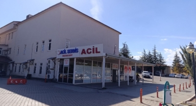 Kahramanmaraş'ta Arının Soktuğu Çocuk Hayatını Kaybetti