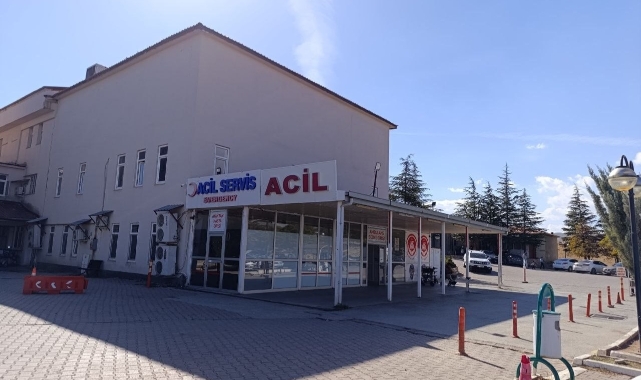 Kahramanmaraş'ta Arının Soktuğu Çocuk Hayatını Kaybetti