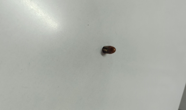 Yorgun Mermi İş Yerine İsabet Etti