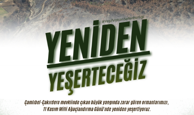 Başkan Toptaş, Yangın Alanındaki Fidan Seferberliğine Tüm Vatandaşları Davet Etti