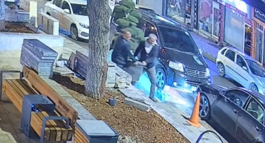 Bu da Ağaç Hırsızlığı: Parktaki Ağacı Araçla Çaldılar