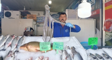 Denize Kıyısı Olmayan Kahramanmaraş'ta Balığa Yoğun İlgi