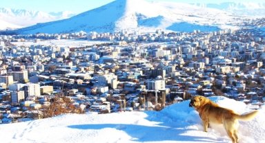 Afşin'de Kar Sonrası Manzara Hayran Bıraktı