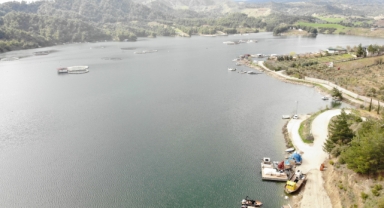 Kahramanmaraş’ın Barajları Doldu Taştı