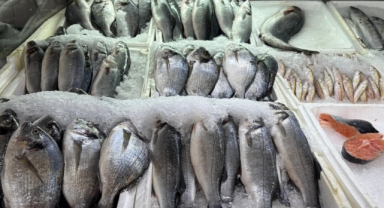 Kahramanmaraş'ta Su Ürünleri Av Yasağı Başladı