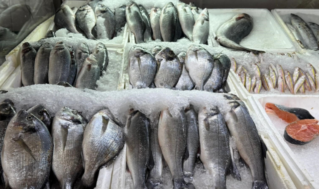 Kahramanmaraş'ta Su Ürünleri Av Yasağı Başladı