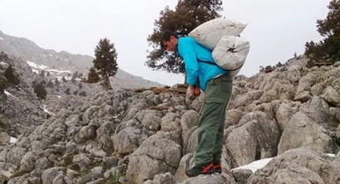 Kayalıklarda Yetişiyor, Sofralara Lezzet Katıyor: Çiriş Otu