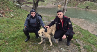 Mahsur Kalan Köpeği İtfaiye Ekipleri Kurtardı