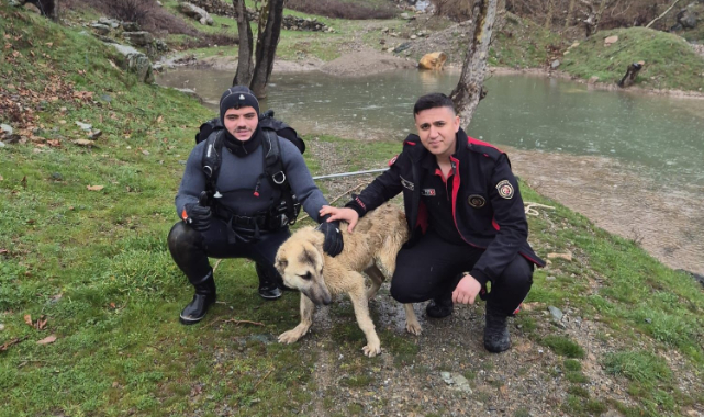 Mahsur Kalan Köpeği İtfaiye Ekipleri Kurtardı