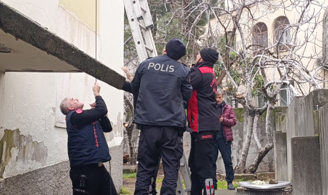 Çatı Katında Mahsur Kalan Kediyi Polis ve İtfaiye Kurtardı