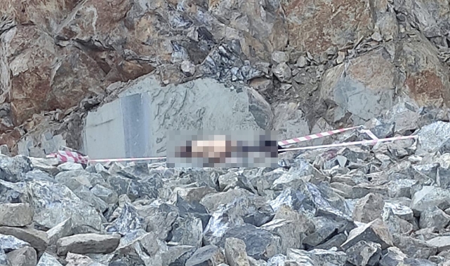 Kahramanmaraş’ta Bir Gün Önce İşe Başlayan İşçi Feci Kazada Can Verdi