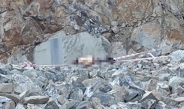 Kahramanmaraş’ta Bir Gün Önce İşe Başlayan İşçi Feci Kazada Can Verdi