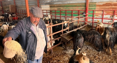 Kahramanmaraş'ta Hayvan Pazarında Sakinlik Hakim