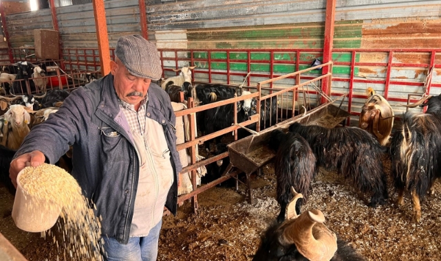Kahramanmaraş'ta Hayvan Pazarında Sakinlik Hakim