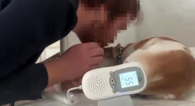Aile Sağlığı Merkezindeki Sedyede Köpek Tedavi Eden Doktorun Skandal İfadeleri Yeniden Gündem Oldu