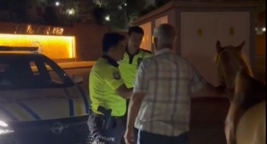 Kahramanmaraş'ta Kaçan Atları Trafik Polisleri Sahibine Teslim Etti