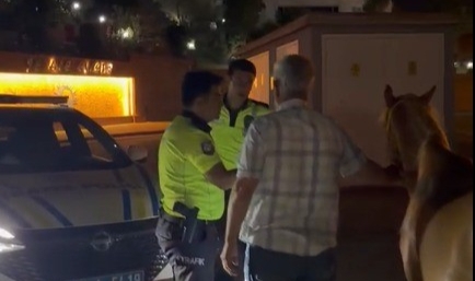 Kahramanmaraş'ta Kaçan Atları Trafik Polisleri Sah