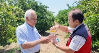 Andırın’da Faydalı Böcek İle Doğal Mücadele