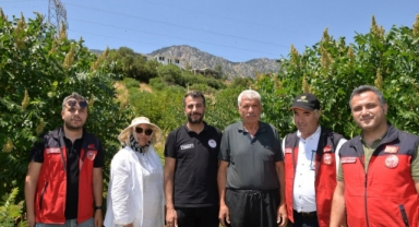 Kahramanmaraş'ta 22 Bin Sumak Fidanı Verime Geçti