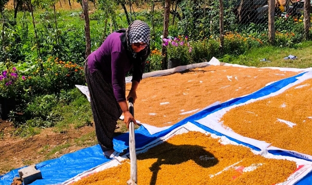 Kahramanmaraş'ta Kışlık Telaşı