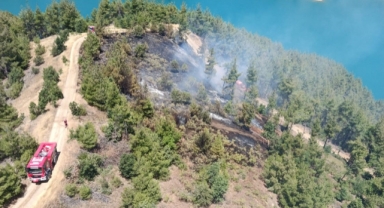 Kahramanmaraş'ta Orman Yangını