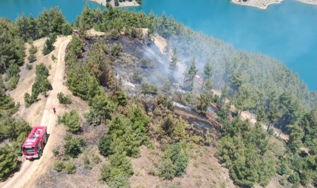 Kahramanmaraş'ta Orman Yangını
