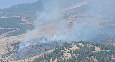 Kahramanmaraş'ta Orman Yangını