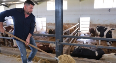Ahırların Elektrik İşini Yaparken, Devlet Desteğiyle Besi Çiftliği Kurdu