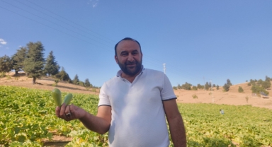 Deprem Sonrası Hayatını Yeniden İnşa Etti, Köyüne Döndü: Şimdi Kabak Yetiştiriyor