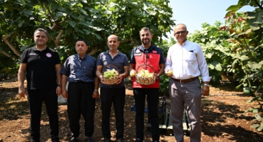 Kahramanmaraş'ta Abbas İnciri Hasadı