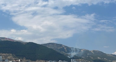 Kahramanmaraş'ta Çıkan Orman Yangını Kontrol Altına Alındı