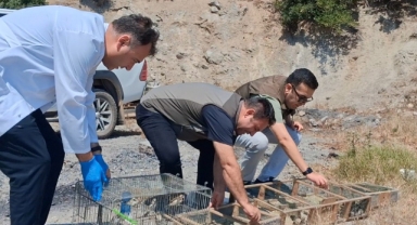 Kahramanmaraş’ta Kaçak Saka Kuşu Avına Operasyon: 175 Kuş Kurtarıldı
