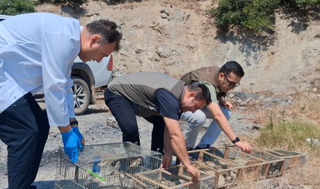 Kahramanmaraş’ta Kaçak Saka Kuşu Avına Operasyon: 175 Kuş Kurtarıldı
