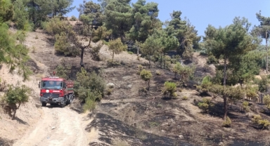 Kahramanmaraş’ta Orman Yangını Kontrol Altına Alındı