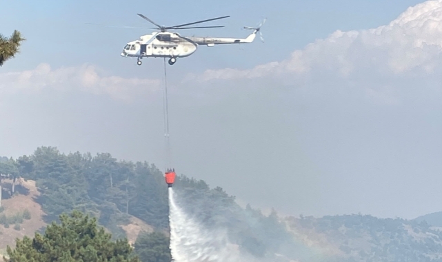 Kahramanmaraş'ta Çıkan Orman Yangını Kontrol Altına Alındı