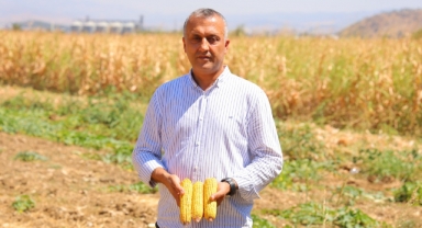 Kahramanmaraş’ta Mısır Hasadı Başladı