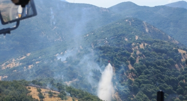 Kahramanmaraş’taki Orman Yangınları Söndürüldü