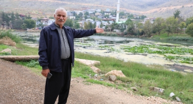 Çevre Kirliliği Nilüferleri Tehdit Ediyor
