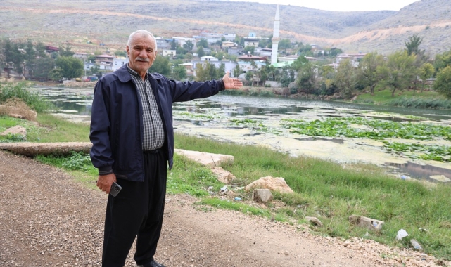Çevre Kirliliği Nilüferleri Tehdit Ediyor