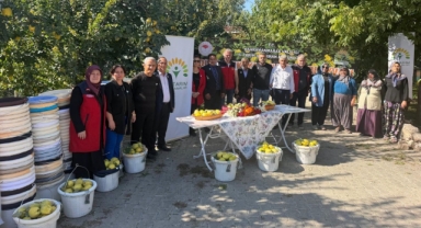 Kahramanmaraş'ta Ayva Üreticilerine Hasat Desteği